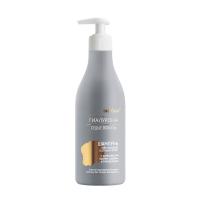 HYALURONIC POWER Grey Hair Neutralization Shampoo Anti Grey Hair Complex